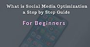 What is Social Media Optimization a Step by Step Guide For Beginner's - Created with VisMe