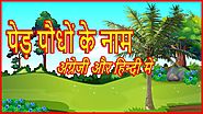 पेड़ पौधों के नाम | Trees Plants Name In Hindi and English With Pictures | Mother's Glory