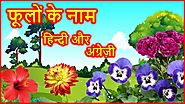 फूलों के नाम | Flowers Name In Hindi and English With Pictures | Mother's Glory