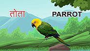 हिंदी में पक्षियों के नाम | Birds Name In Hindi And English With Pictures | Mothers Glory