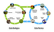 Más allá del reciclaje, introducción al concepto Cradle to Cradle