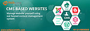 CMS website development company in Delhi | CMS website development company in India