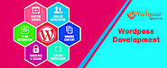 Wordpress website development company in Delhi | WordPress website development company in India – webpaceindia