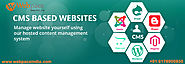 CMS website development company in Delhi | CMS website development company in India – webpaceindia
