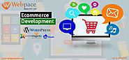 ecommerce website designing company in Delhi | ecommerce website designing company in India