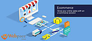 Creative ecommerce website design & development company in Delhi – webpaceindia