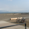 Boundary Bay Beach for Lunch