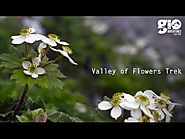 Jewel in the Himalayas - Valley of Flowers Trek - (I)