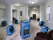 How to Choose the Best Mould Removal Service in Melbourne