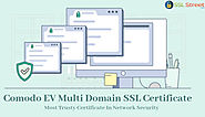 Why Multiple Domain SSL Certificate is Smart Choice For Website Security ?