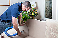 Why Choose Professional Sofa Cleaning Services in Sharjah? | Tacleaning.ae