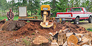 Characteristics You Should Know To Locate A Reliable Stump Grinding Expert