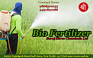 Choose The Right Bio Fertilizer Manufacturer And Humic Acid Manufacturer For Sustainable Farming