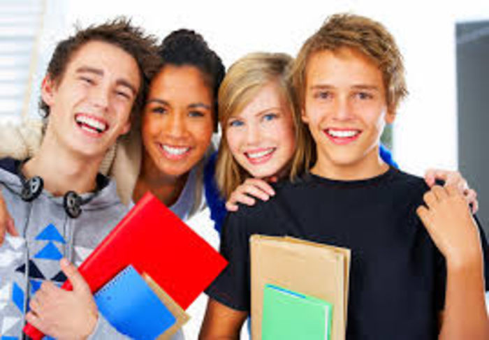 Professional essay writers review