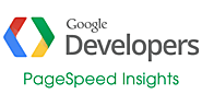 Ways to Score 100/100 with Google Page Speed Insights Tool – e-Definers Technology
