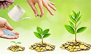 Wealth Creation: Meaning, Importance and Strategies -