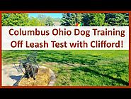 Best Dog Training Columbus Ohio