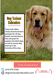 Best Dog Trainer In Columbus