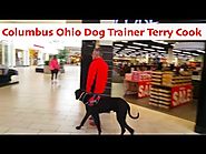 Top Columbus Ohio Dog Trainer Terry Cook 