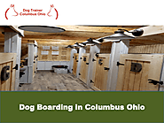 Best Dog Boarding in Columbus Ohio