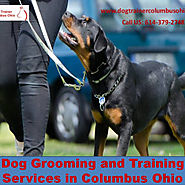 Dog Grooming and Training Services in Columbus Ohio