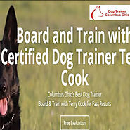 Dog Trainers Columbus Ohio