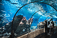 Barcelona Aquarium Tickets