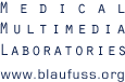 Blaufuss Multimedia - Heart Sounds and Cardiac Arrhythmias
