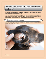 How to Use Flea and Ticks Treatment on Dogs