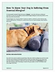 How To Know Your Dog Is Suffering From Seasonal Allergies - Download - 4shared - Dog Express