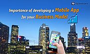 Importance of Developing a Mobile App for your Business Model