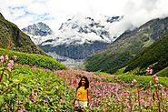 Valley of Flowers Trek| Altitude Adventure India