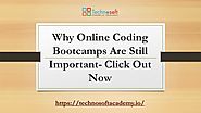 Why Online Coding Bootcamps Are Still Important- Click Out Now