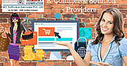 The Services Provided by E-Commerce Solution Providers in India