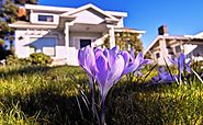 Top Home Improvement Ideas for Spring Season | Renovaten