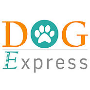 Advertise With Us | DogExpress