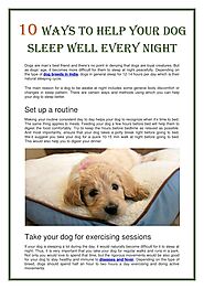 10 Ways To Help Your Dog Sleep Well Every Night PowerPoint Presentation
