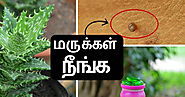 முகத்தில் இருக்கும் மருக்களை முற்றிலுமாக நீக்க சிறந்த முறைகள் - How To Remove From Face And Neck In Tamil
