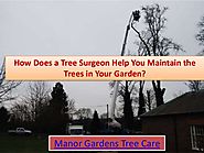 How does a tree surgeon help you maintain the trees in your garden?