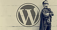 Counsellr - Wordpress Website Maintenance Service & Packages