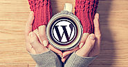 Wordpress Website Support Services & Plan