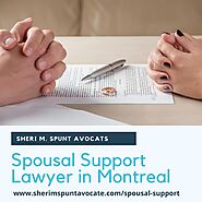 Spousal Support or Alimony Lawyers in Canada