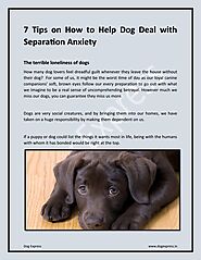 7 Tips On How To Help Dog Deal With Separation Anxiety by DogExpress - Issuu