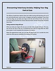 Overcoming Veterinary Anxiety Helping Your Dog Feel at Ease.docx