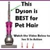 Why Dyson Vacuum Cleaners are Best For Pets and Pet Hair