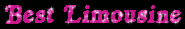 Houston Limousine service