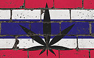 Thailand Starts Legalization Process of Marijuana
