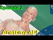 Episode 2 Anatomy 4D
