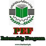 Punjab Education Foundation PEF Paid Internship 2019 Online Apply Last Date