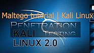 How to Use Maltego Kali Linux - beginner's Tutorial